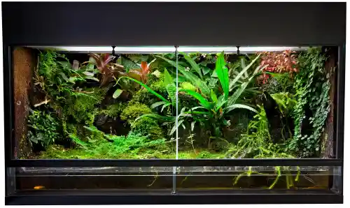 Strukturiertes Terrarium