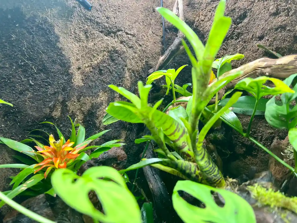 Automatisierungstechnik