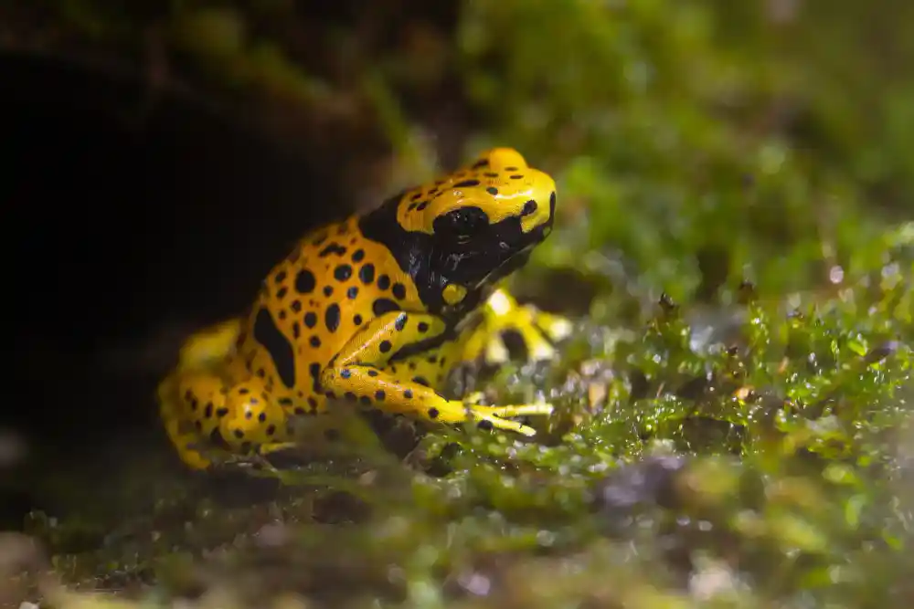 Gruppenhaltung erfolgreich planen
